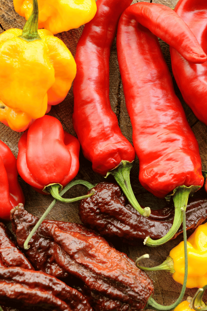 habanero peppers