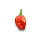 A Scotch Bonnet Chilli - fruity but hot!