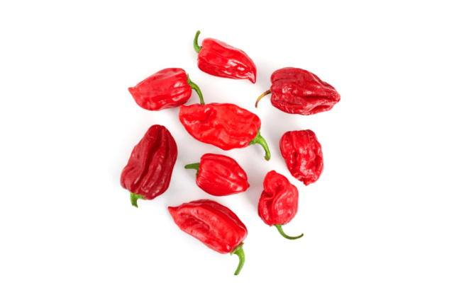 habanero