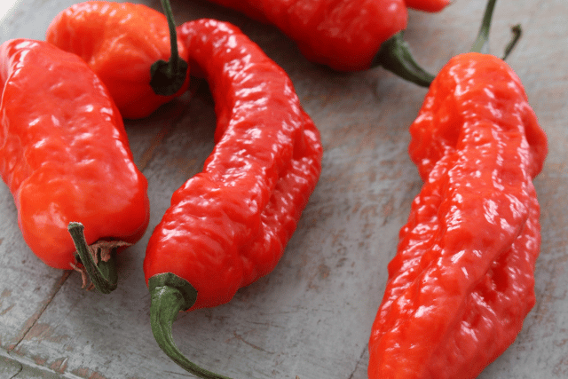 naga jolokia sauce