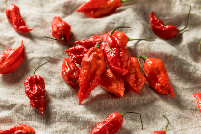 naga sauce